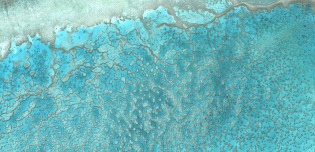 Australie Corail de Wistari - 23°27'23.99"S 151°53'22.34"E à 4 km d’altitude