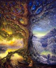 Polarité et symétrie de l’arbre de vie
