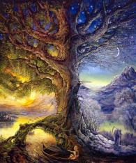 Polarité et symétrie de l’arbre de vie